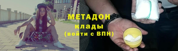 гидра Михайловка