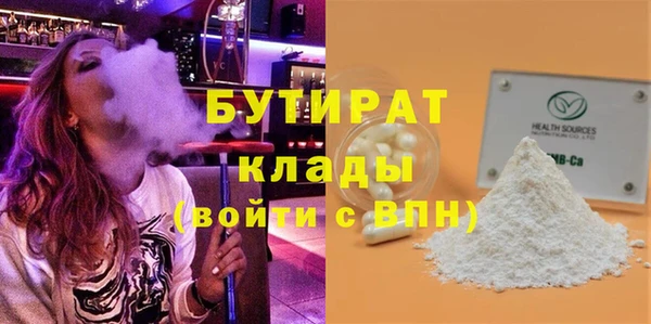 индика Вяземский