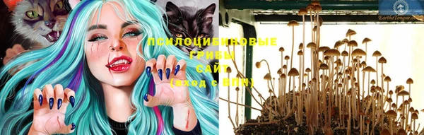 винт Медногорск