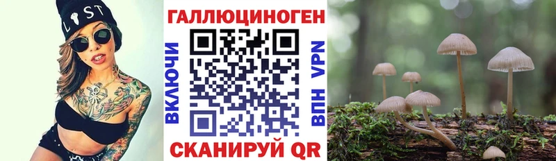 Псилоцибиновые грибы прущие грибы  Нюрба 